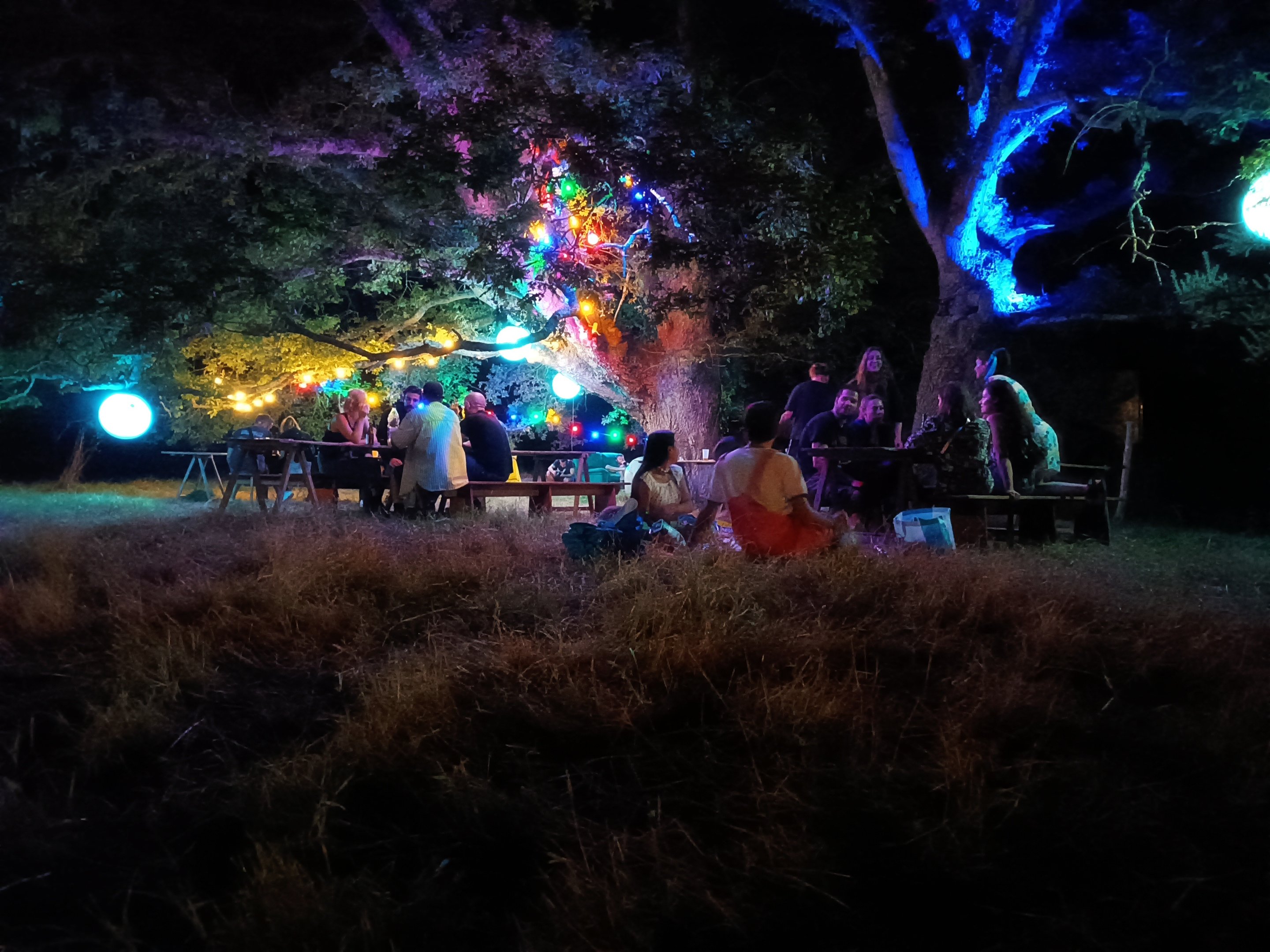 Espace de festival éclairé par des guirlandes et des lumières colorées sous les arbres
