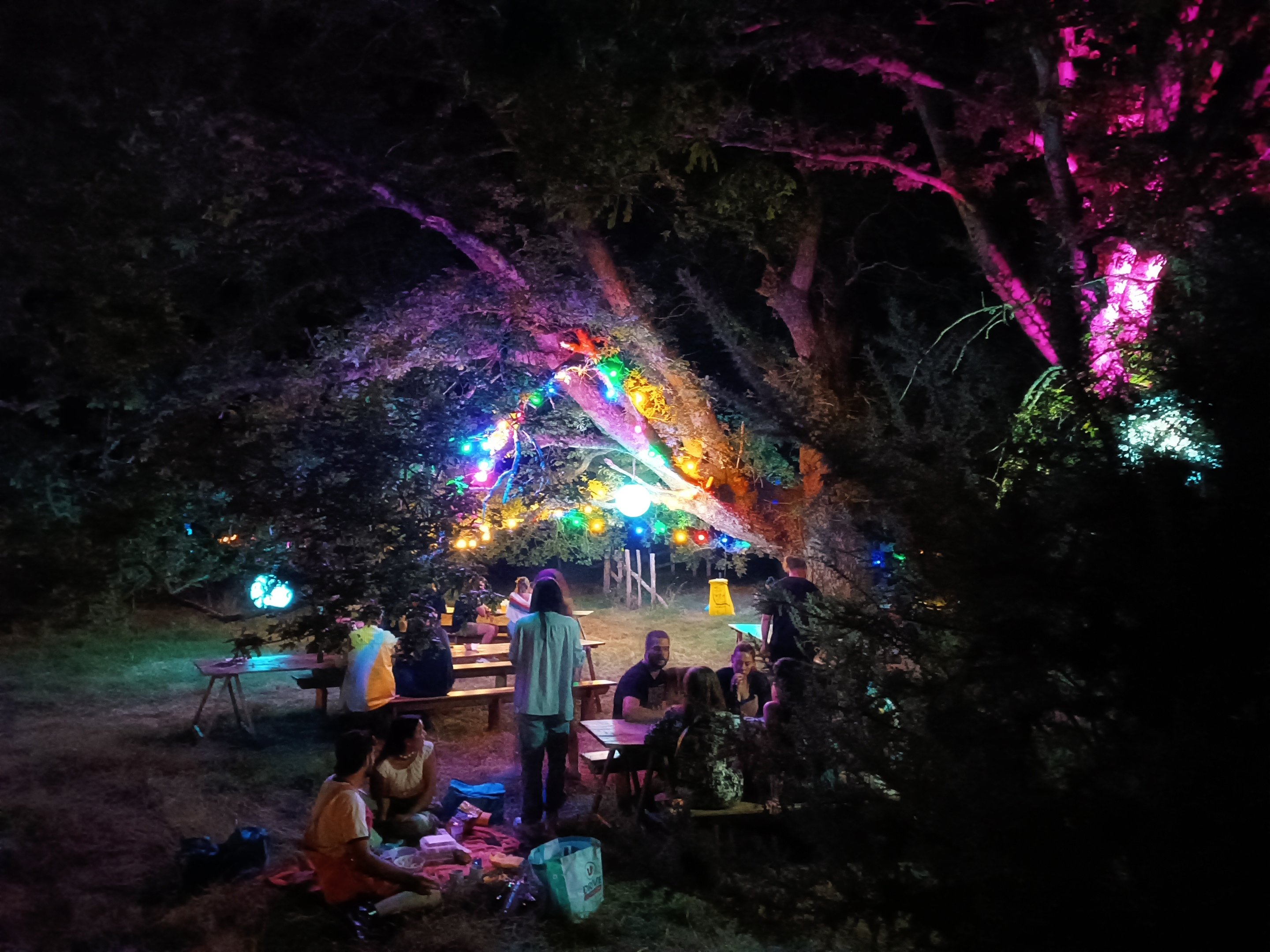 Arbres éclairés par des PAR LED RGB et des guirlandes colorées