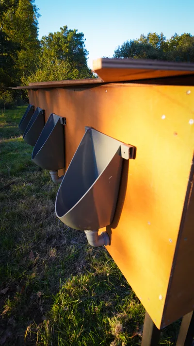 Urinoirs autonomes en bois installés pour un événement extérieur